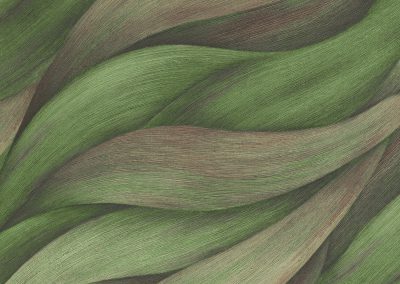 Papel de parede em várias cores - Finesse
