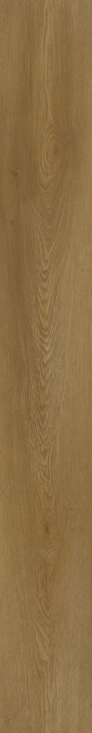 Duela SPC Forest Alberta Tekno