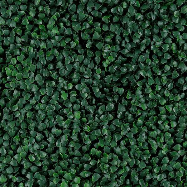 Follaje Artificial Green Wall Green Boxus.