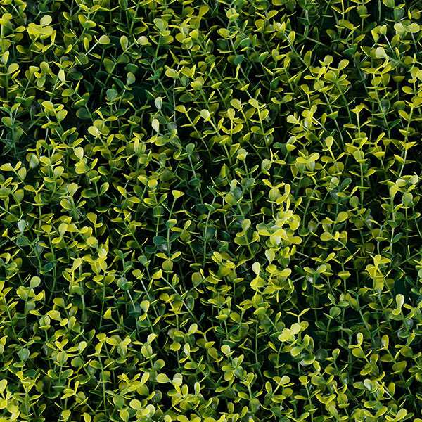 Follaje Artificial Green Wall Yellow Boxus.