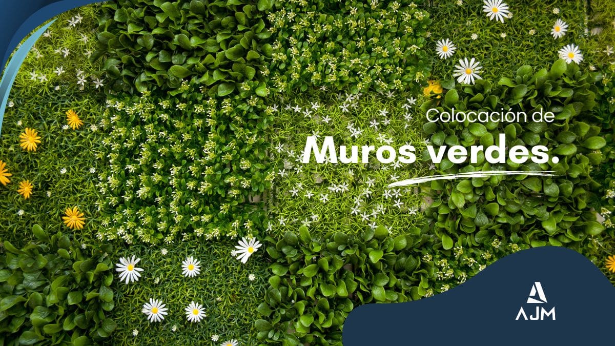 Coloción de muros verdes