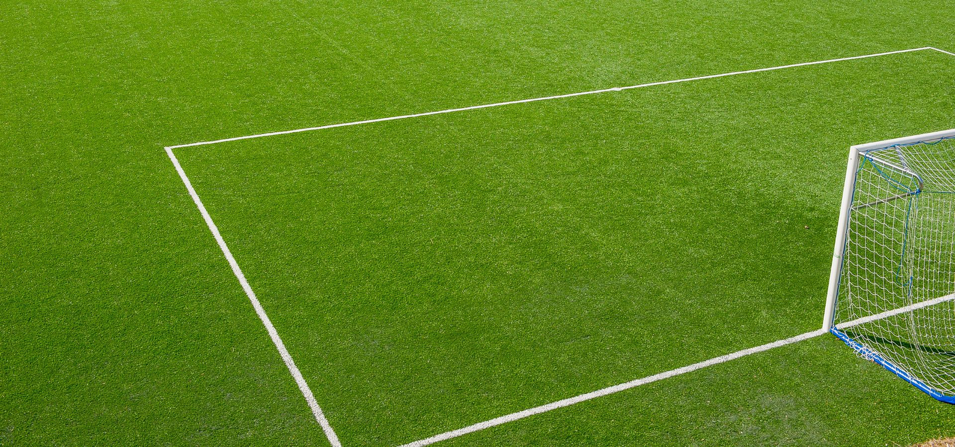 Pasto Sintético