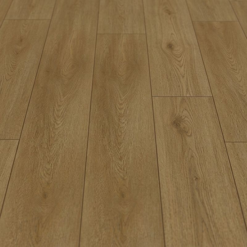 Duela  SPC Forest Alberta Tekno