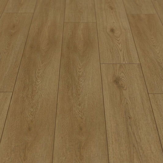 Duela  SPC Forest Alberta Tekno