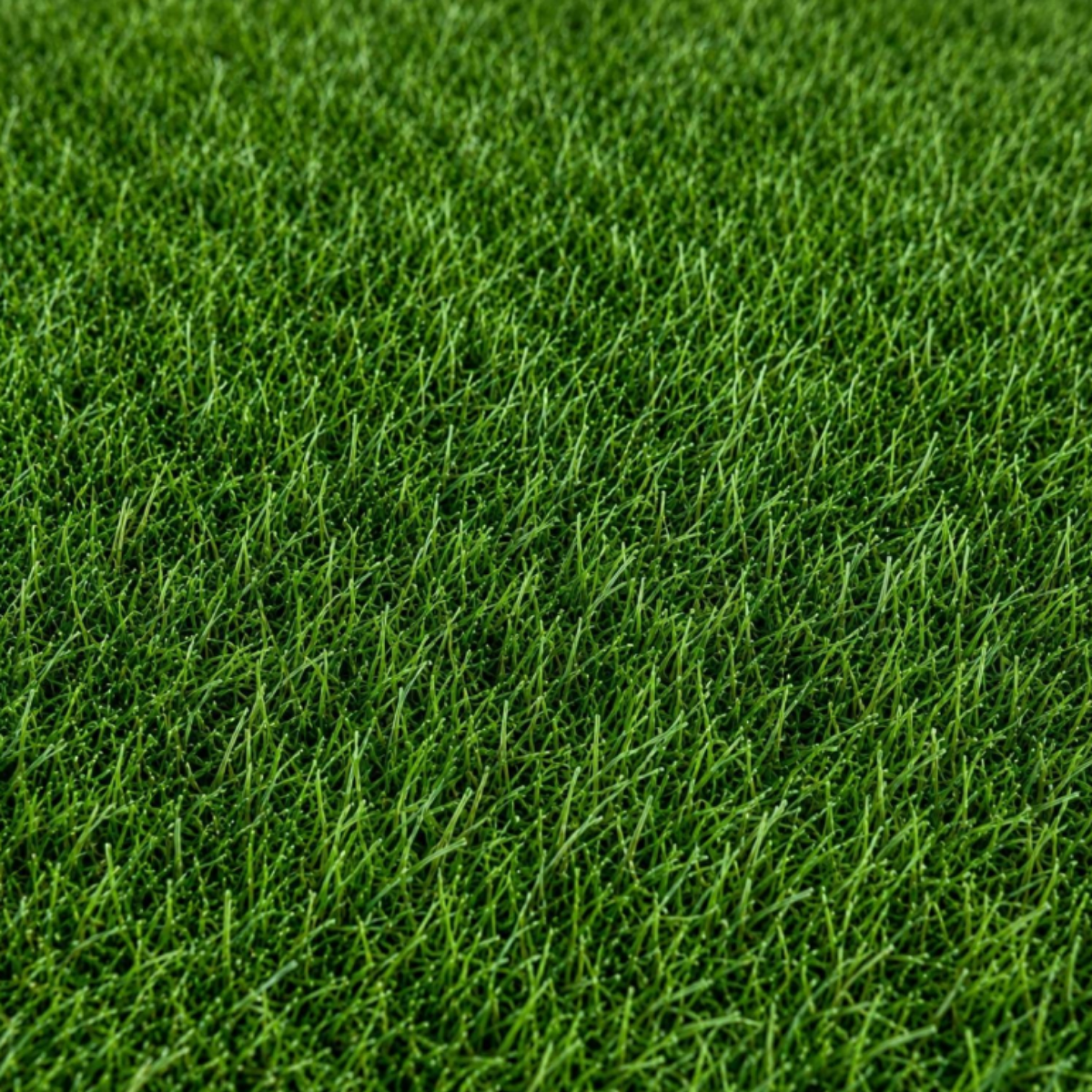 Pasto Sintético Recreativo Gulhi