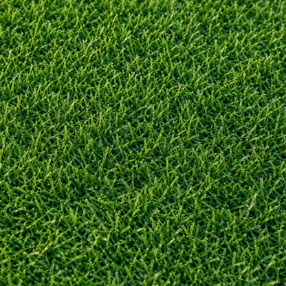 Pasto Sintético Recreativo Bali