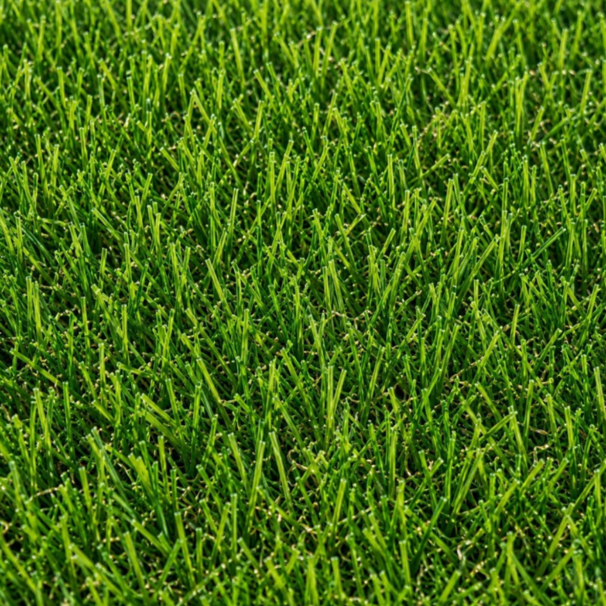 Pasto Sintético Recreativo Maui