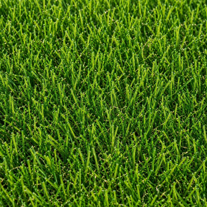 Pasto Sintético Recreativo Maui