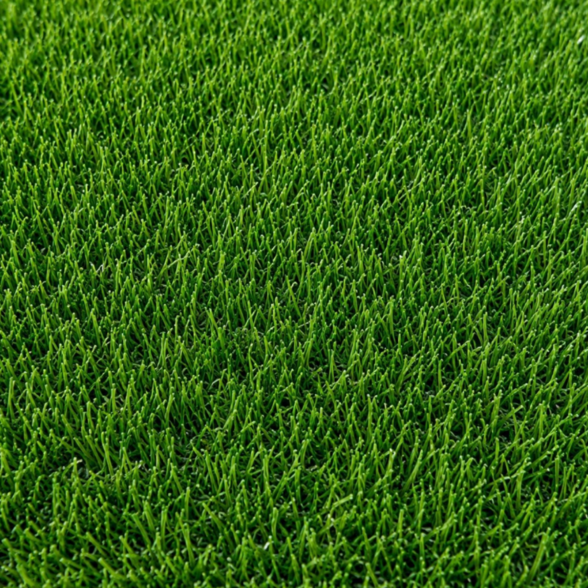 Pasto Sintético Recreativo Cancun