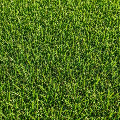Pasto Sintético Recreativo Summer