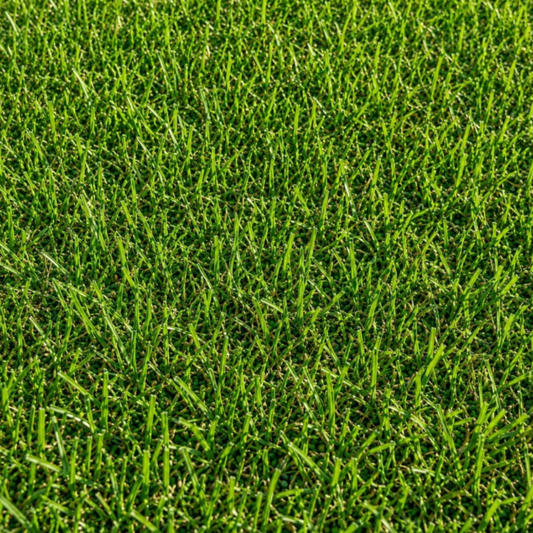 Pasto Sintético Recreativo Summer