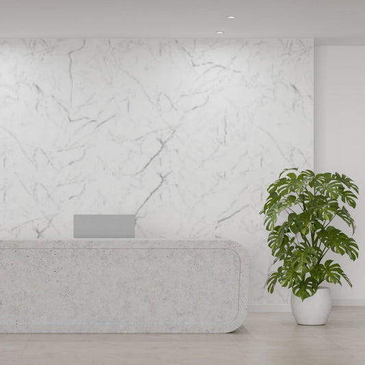 White Marble Wall Panel