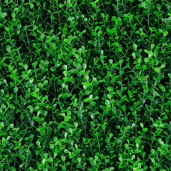 Follaje Artificial Green Wall Spring Boxus.