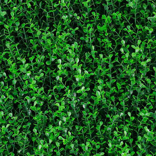 Follaje Artificial Green Wall Spring Boxus.