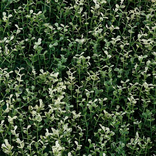 Follaje Artificial Green Wall White Boxus.