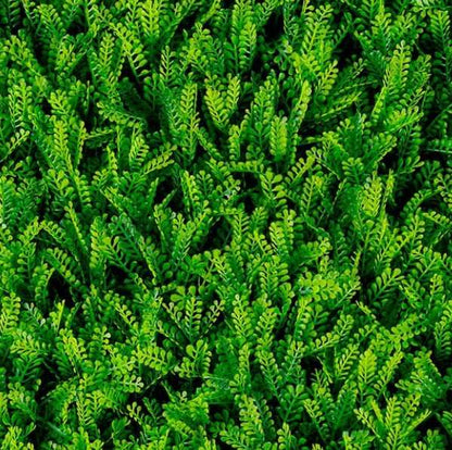 Follaje Artificial  Green Wall Fern.