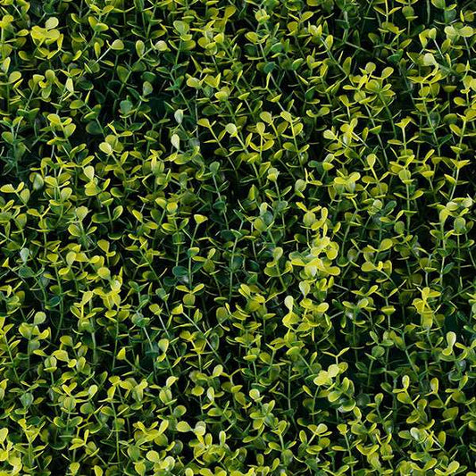 Follaje Artificial Green Wall Yellow Boxus.