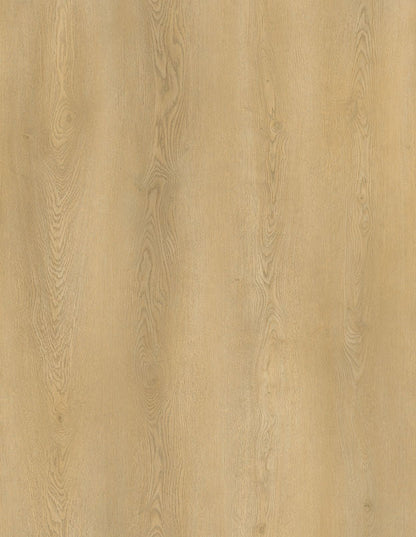 Duela  SPC Forest Yosemite Tekno