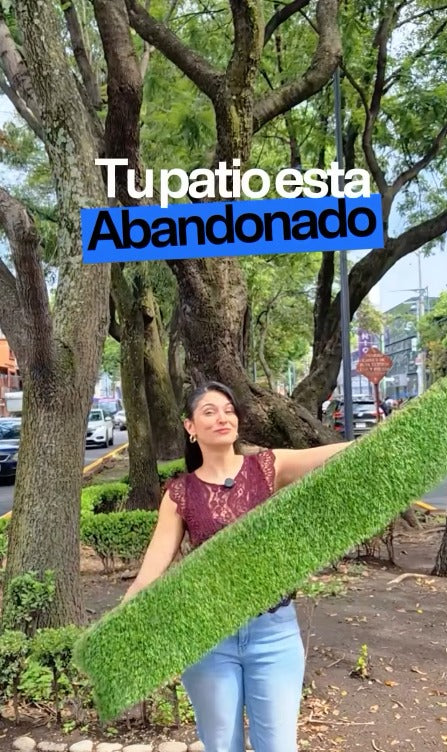 Cargar vídeo: 